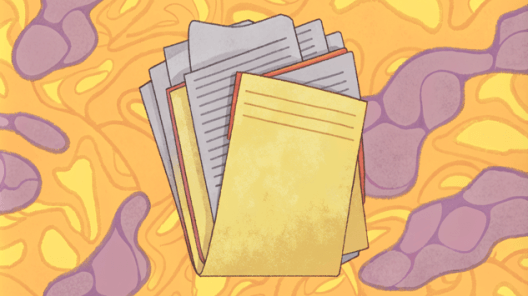 Российский форум бухгалтеров в Москве: готовимся к сдаче отчетности за 9 месяцев